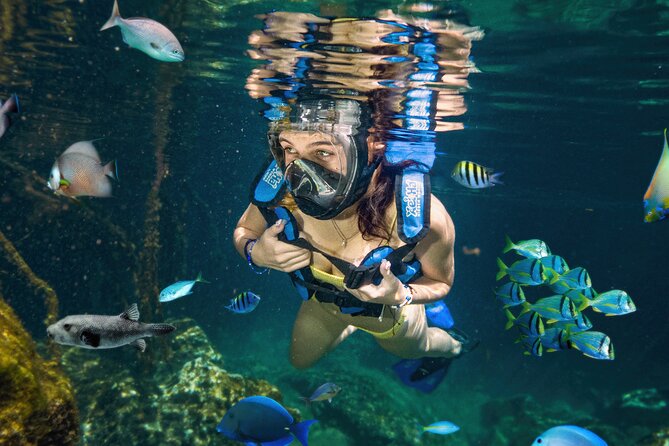 Xel-Ha Tickets Food & Beverages and Transportation All-Included - Transportation and Pickup Details