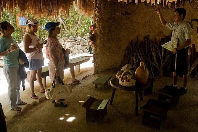 Xel-Há Water Park Adventure from Riviera Maya & Playa del Carmen - FAQs