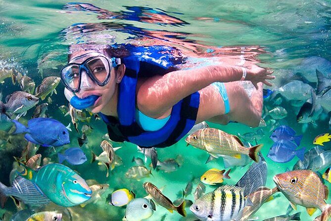 Xelha All Inclusive Family Park - An Honest Look at Xel-Há All Inclusive Family Park