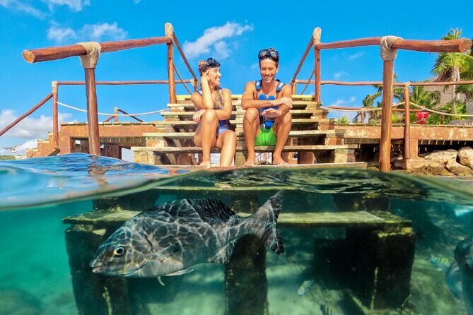 Xelha Tickets with Transportation - The Sum Up