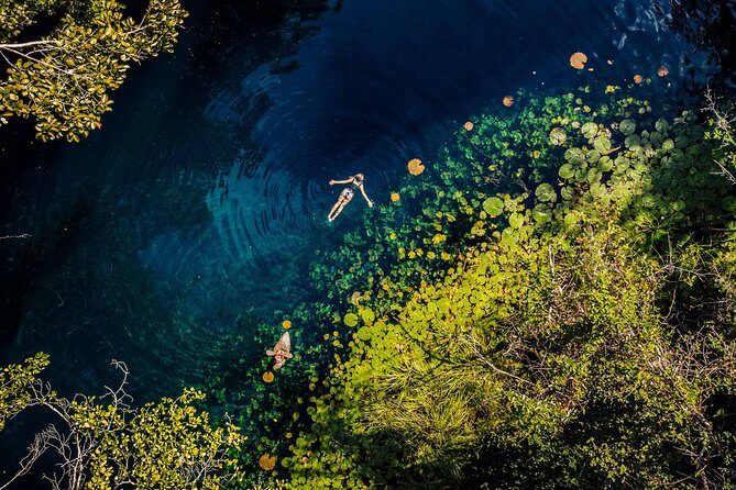 Xenotes Adventure from Riviera Maya - Who Will Love This Tour?