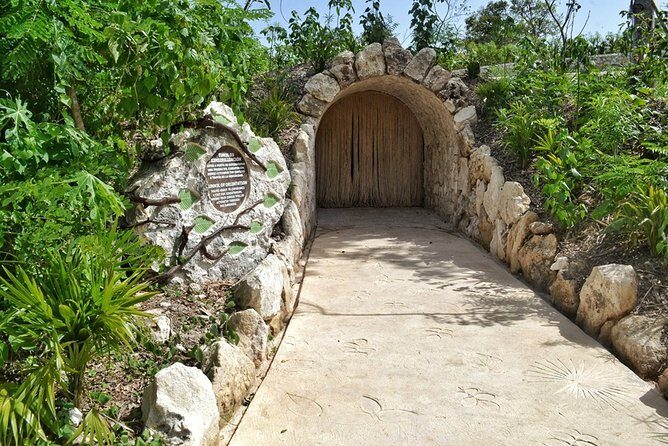 Xenses, Amazing Park! Round Transportation From Cancun & Riviera Maya - Who Should Consider This Tour?