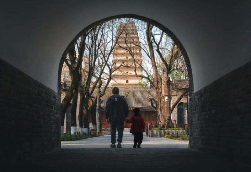 Xi'an City Wall+ Terracotta Army Museum Group Day Tour - Who Is This Tour Best For?
