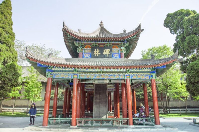 Xian: City Wall+Giant Wild Goose Pagoda 1 Day Tour - Important Information