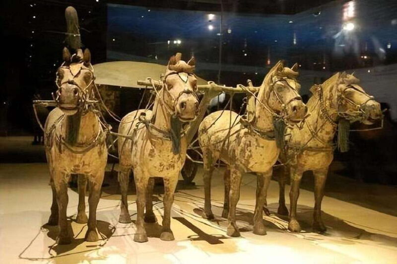 Xian: Emperor Qinshihuang Mausoleum Site Museum Entry Ticket - How Authentic and Informative Is the Experience?