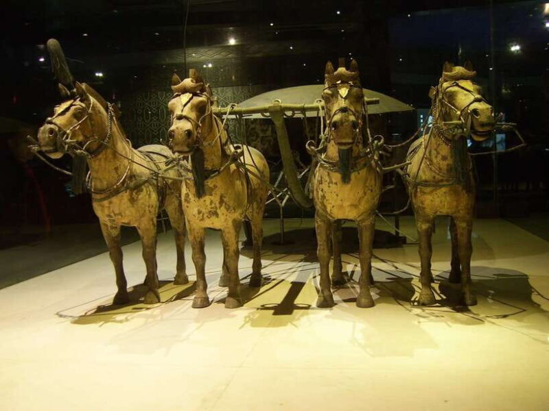 Xi'an Half-day Terracotta Warriors Private Tour - Transport and Comfort