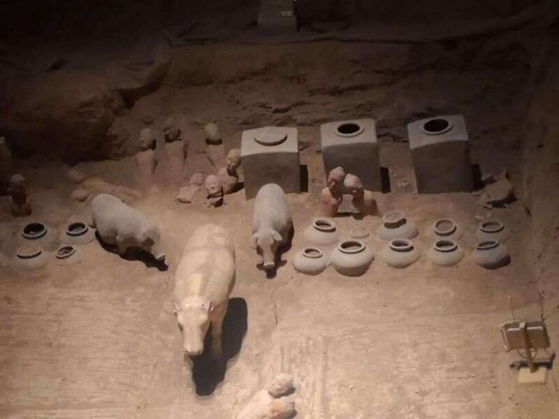 Xi'an: Han Yang Ling Tomb Archaeology Tour with Options - Who Would Love This Tour?
