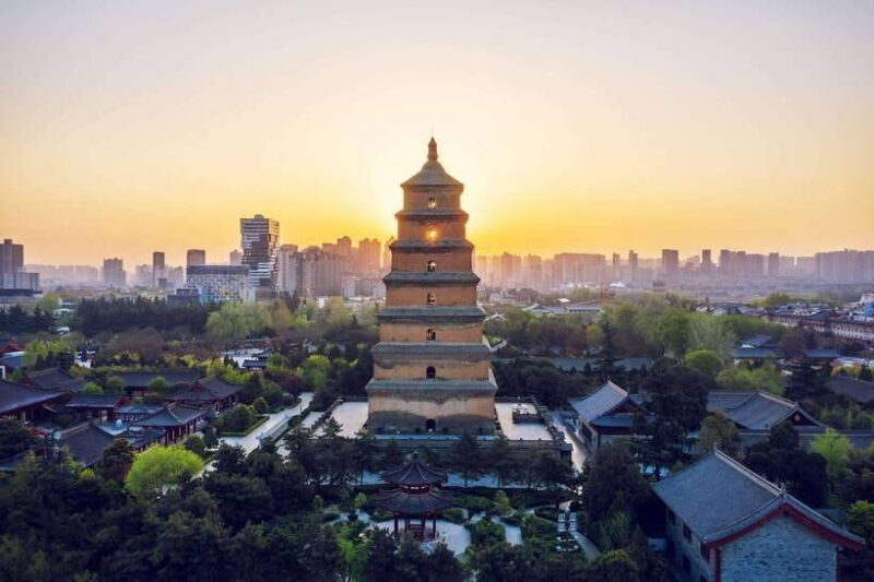 Xi'an: Terracotta Army and Big Wild Goose Pagoda Tour - Who This Tour Is Best For