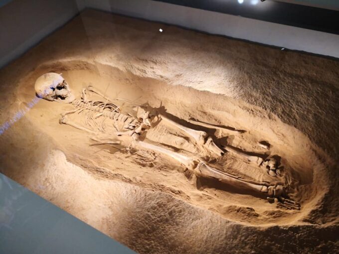 XiAn: Terracotta Army and Shaanxi Archaeology Museum Tour - Museum Exhibition Chapters