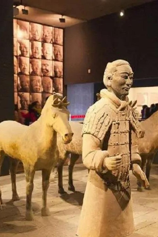 Xian Warriors With Ticket Private Self-Guided Tour by Car - Historical Significance