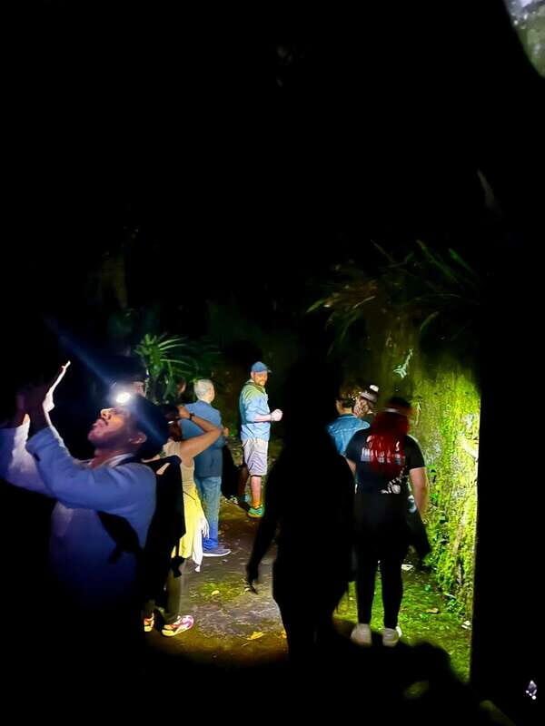 Xilitla - Caminando por un sueño surrealista - Key Points