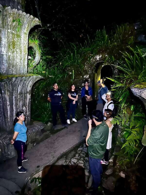 Xilitla - Caminando por un sueño surrealista - Why Choose the Xilitla Night Tour?