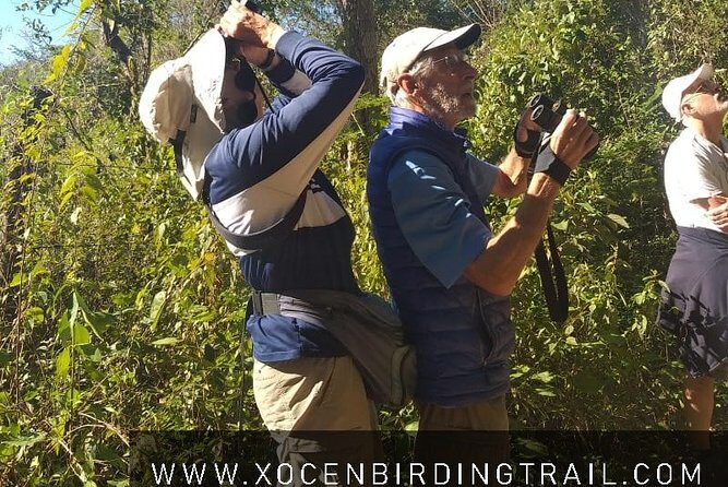 Xocen Birding - What to Expect: A Detailed Look at the Itinerary