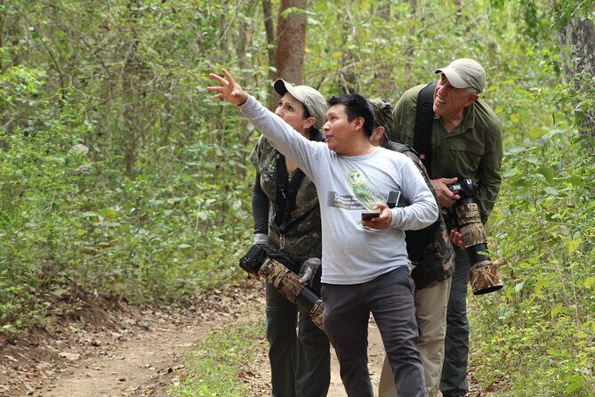 Xocen Birding - Practical Details and Tips