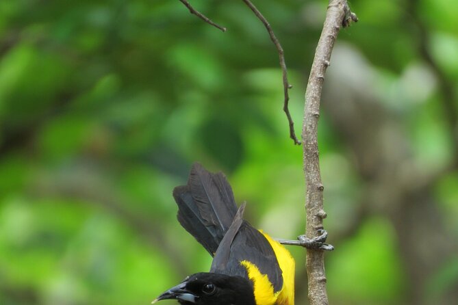 Xocen Birding - Health and Fitness Requirements