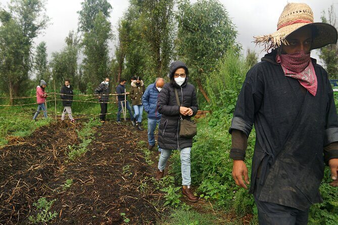 Xochimilco Ancestral Ajolotos Chinampas and Living Tradition - A Deep Dive into the Xochimilco Canoe Tour