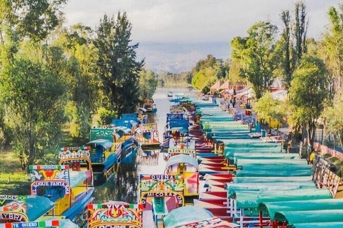 Xochimilco Canals Tour with Trajinera Ride & Local Guide - The Sum Up: Is It Worth It?