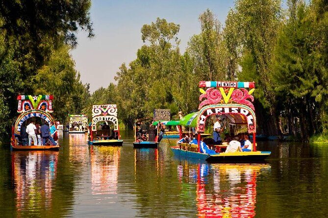 Xochimilco, Casa de Frida Kahlo, Coyoacán and UNAM - A Closer Look at the Tour Experience