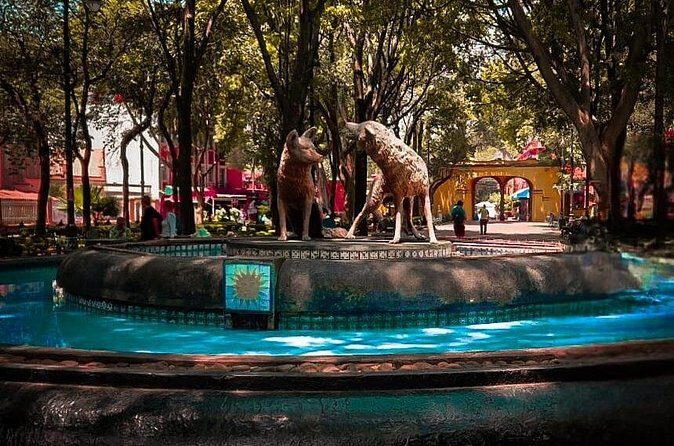 Xochimilco, Coyoacan and more tours - The Sum Up: Is This Tour Right for You?