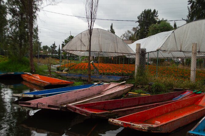 Xochimilco, Coyoacán & Ciudad Universitaria Tour - FAQ