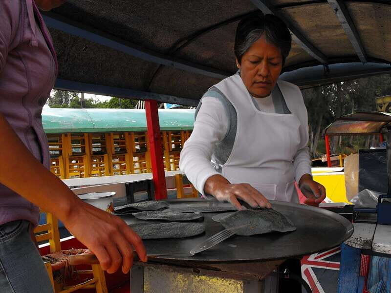 Xochimilco Day Trip: Farmland Food and Hop on a Trajinera - Key Points