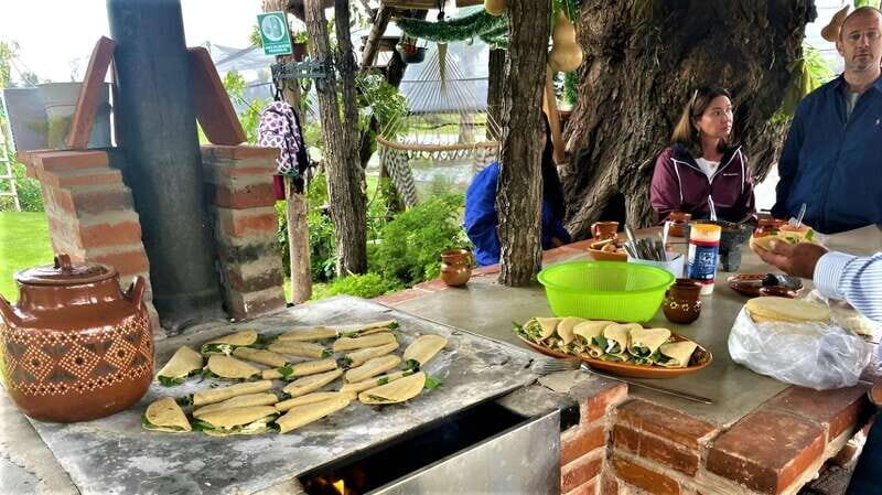 Xochimilco Day Trip: Farmland Food and Hop on a Trajinera - Who Will Love This Tour?