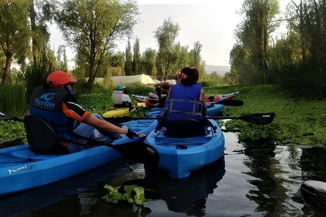 Xochimilco Day Trip Know a Farmland Food and Hop on a Trajinera - An In-Depth Look at the Xochimilco Day Trip