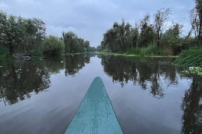 Xochimilco Ecotourism at Dawn in Canoe and Organic Breakfast - What the Reviews Say