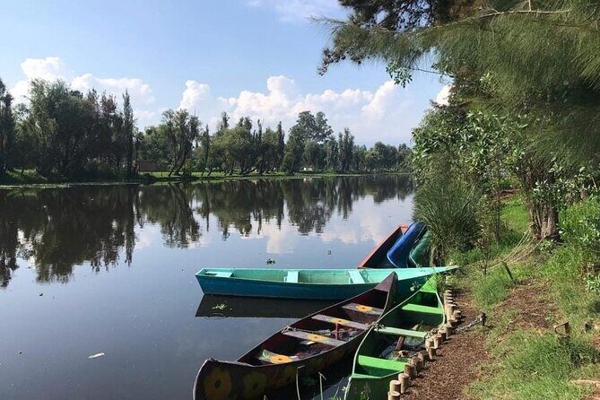 Xochimilco Ecotourism at Dawn in Canoe and Organic Breakfast - Who Might Not Enjoy It?