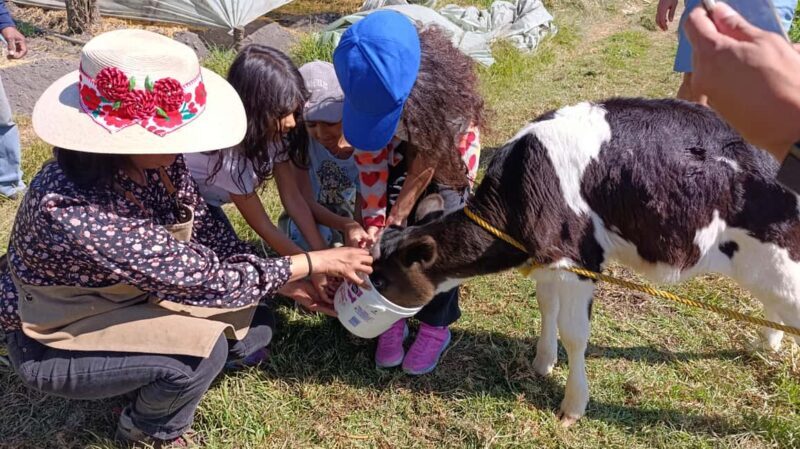 Xochimilco for kids and families - Key Points