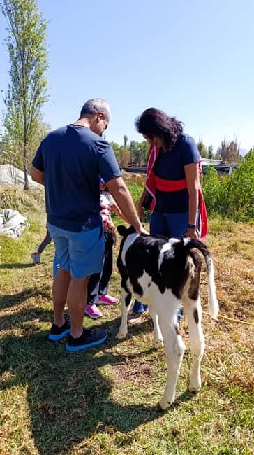 Xochimilco for kids and families - A Deep Dive into the Experience