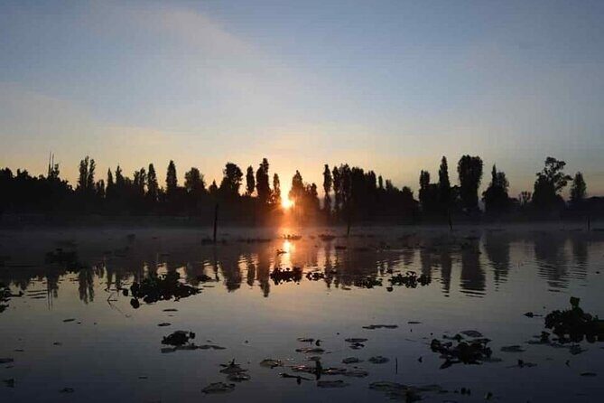 Xochimilco in Kayak - An In-Depth Look at the Xochimilco Kayak Tour