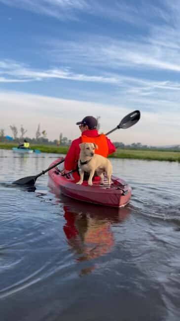 Xochimilco: Kayak Tour and Axolotl Watching - FAQs