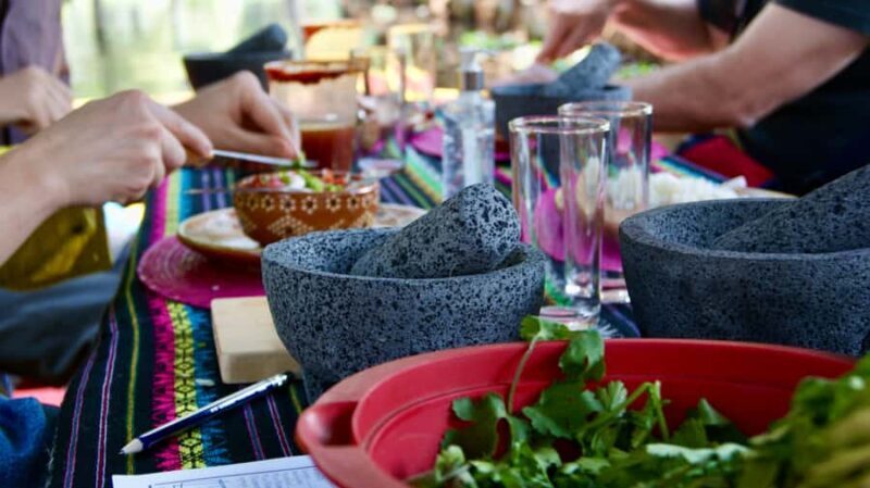 Xochimilco: Mexican Culture and Cuisine Tour - The Experience: What to Expect During Your Tour