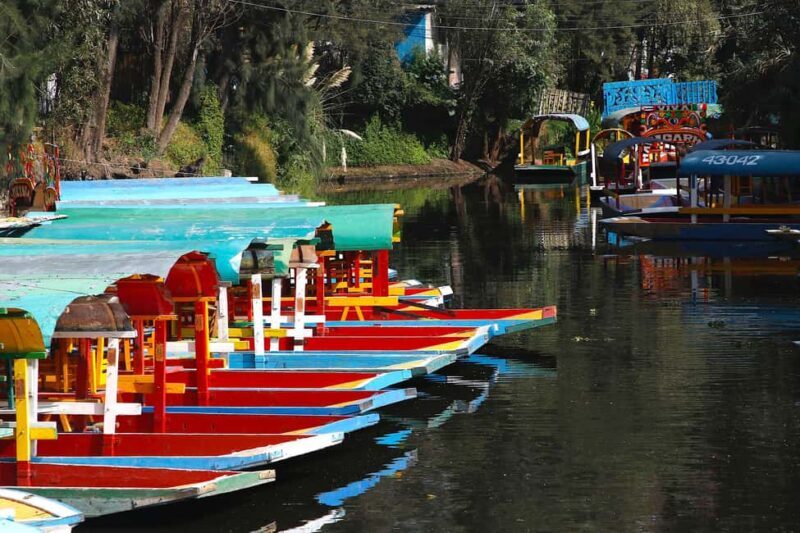 Xochimilco: Party on a trajinera with food, drinks, and music - Key Points