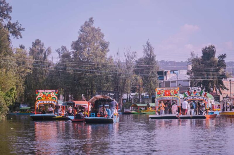 Xochimilco: Party on a trajinera with food, drinks, and music - The Experience: What to Expect