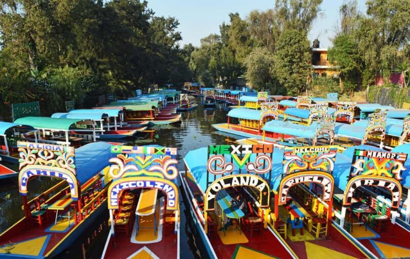 Xochimilco: Party on a trajinera with food, drinks, and music - Authenticity and Value