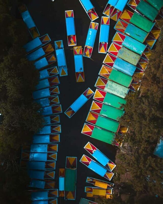 Xochimilco: Party on a Trajinera with Mexican Snacks, Drinks, and Music - Who Is This Tour Best Suited For?