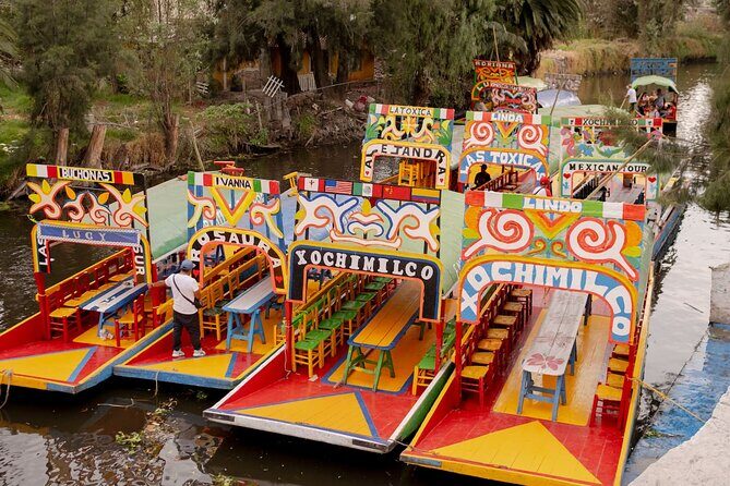 Xochimilco Party Pickup Included - Who Should Consider This Tour?