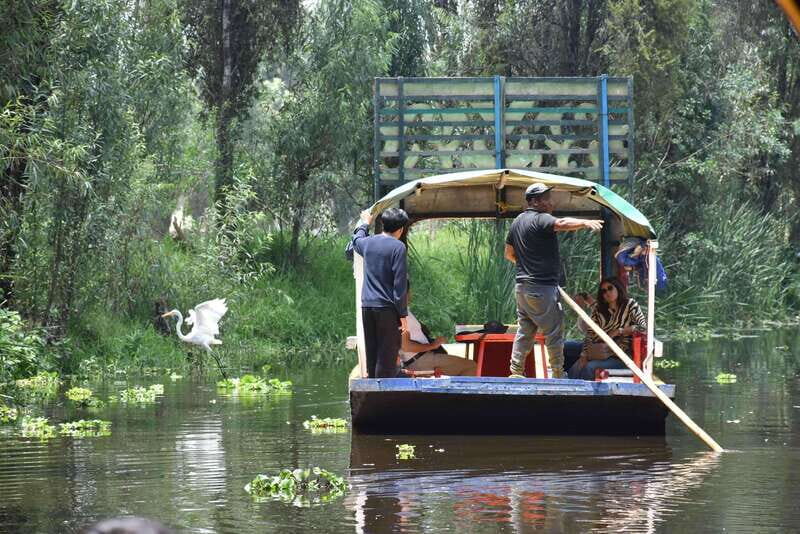 Xochimilco Serene: A Calm Cultural Escape from the Crowds - Key Points