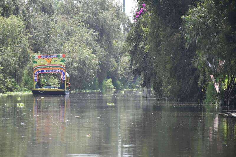 Xochimilco Serene: A Calm Cultural Escape from the Crowds - An In-Depth Look at the Xochimilco Serene Tour