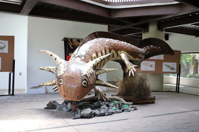 Xochimilco The island dolls and Axolotl museum from Mexico City - Exploring Xochimilco: The Colorful Canals and Traditional Trajineras