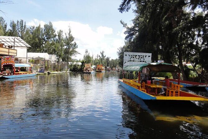 Xochimilco Tour: Coyoacan and Frida Kahlo Museum in Mexico City - Who Should Book This Tour?