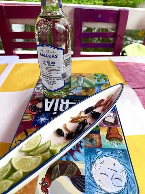 Xochimilco's Wild Side: Mezcal, Insects & Culture - Whats Included & Why It Matters