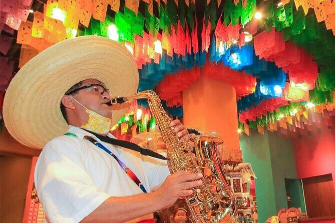 Xoximilco Tour Mexican Party Night! From Cancun & Playa Del Carmen - Who Should Consider This Tour?