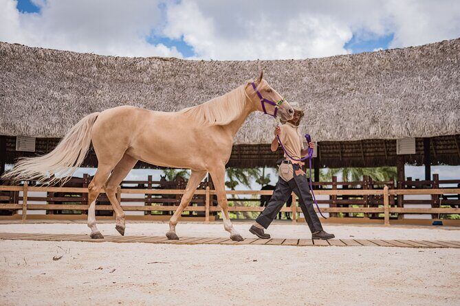 Xploration Animal Encounters Half Day Tour from Punta Cana - Who Is This Tour Best For?