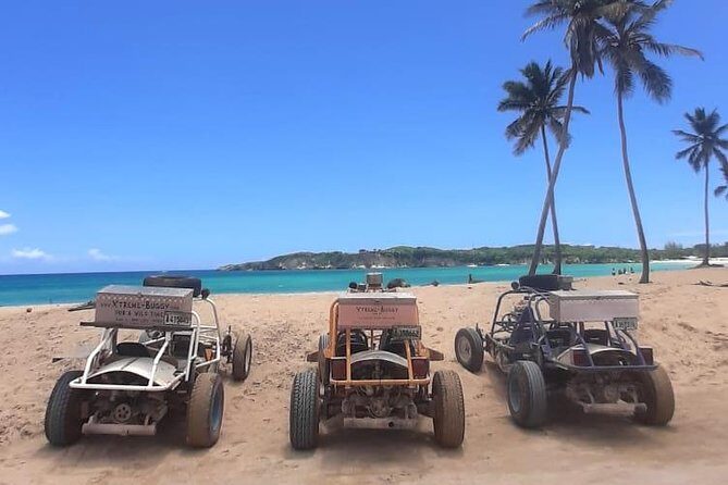 Xtreme Buggy 4 hours Dune Buggy & Country side experience - Key Points