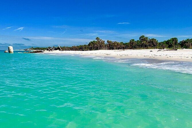 Yacht party cruise in St. Petersburg to Shell Key - Wrap-Up: Is It Worth It?