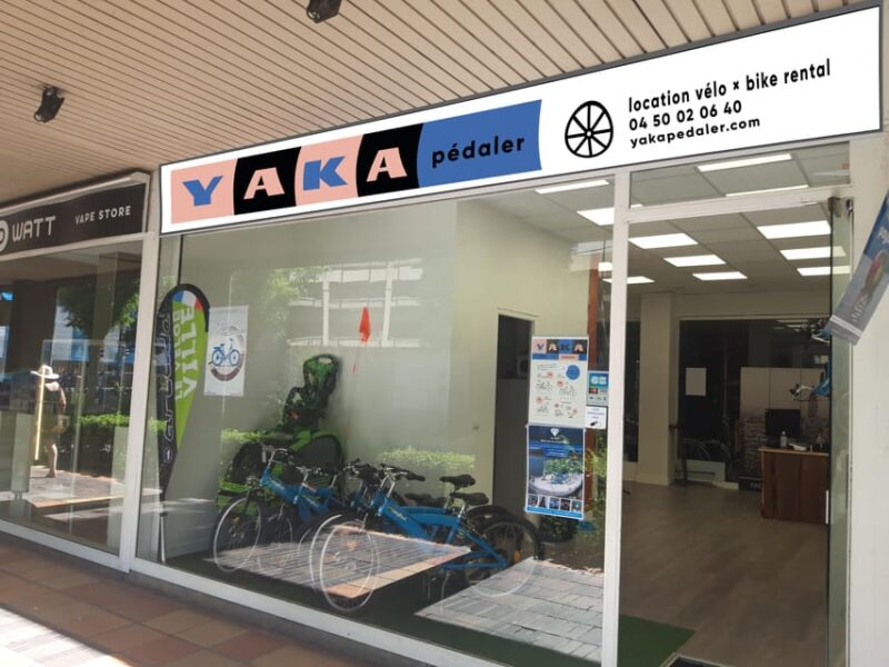 Yakapedaler: Scenic Rent-A-Bike Tour of Lake Annecy - Key Points