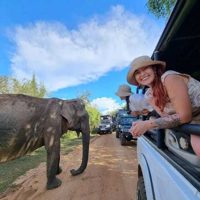 Yala National Park: All Inclusive Private Safari Day Trip - Frequently Asked Questions